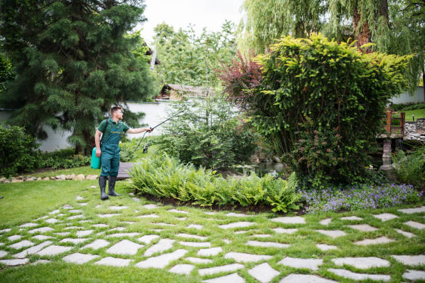 Best Pest Removal Services  in Hickory, NC