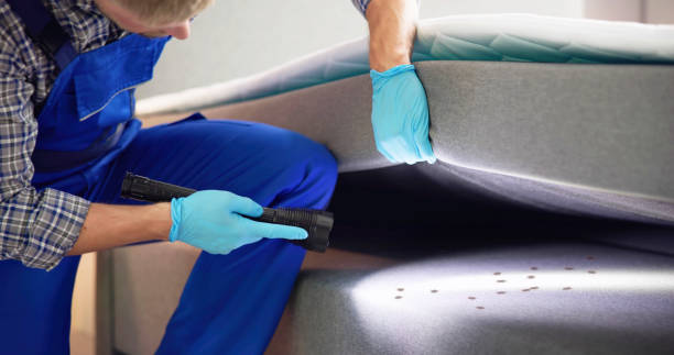Best Residential Pest Control  in Hickory, NC