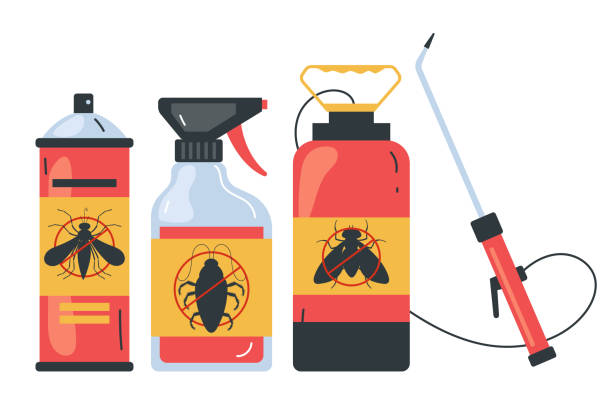 Best Affordable Pest Control Services  in Hickory, NC