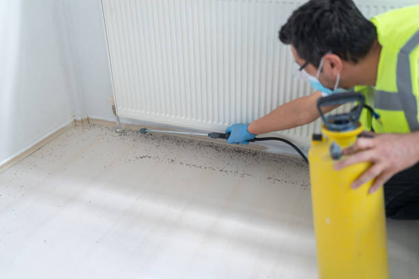 Best Affordable Pest Control Services  in Hickory, NC
