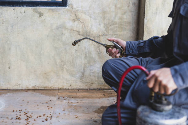 Best Rat Extermination Near Me  in Hickory, NC